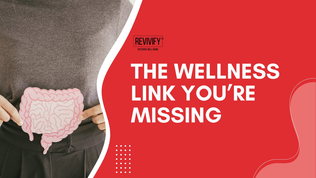 The Gut Brain Cell Triangle: Your Key to Longevity