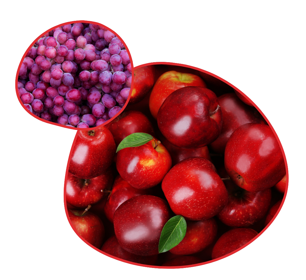 Antioxidant-Rich Foods Supporting the Gut Brain Cell Triangle - Revivify For Life Red apples and grapes rich in antioxidants