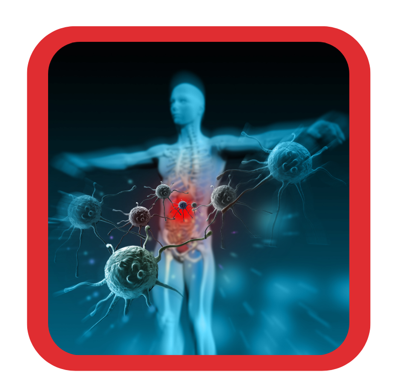 img2 - Revivify For Life Immune Health illustration showing the human body and immune cells